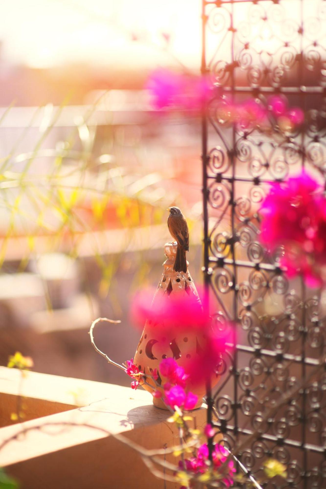 Riad Persephone Marrakesh Exterior foto